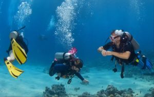 Diving scuba oahu hawaii tours