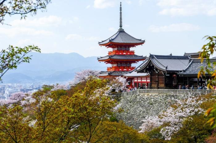 Architecture and art tours in Japan